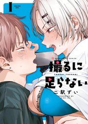 『撮るに足らない』の表紙
