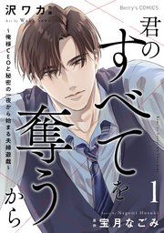 『君のすべてを奪うから〜俺様CEOと秘密の一夜から始まる夫婦遊戯〜』の表紙