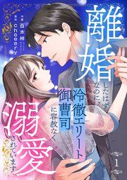 『離婚したはずなのに、冷徹エリート御曹司に容赦なく溺愛されています』の表紙
