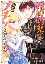 『婚約破棄された瞬間に、何かがプチッと切れました！』の表紙