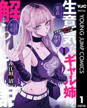 『生意気なギャル姉を解らせる話』の表紙