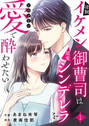 『凄腕イケメン御曹司は最愛シンデレラをとめどない愛で酔わせたい』の表紙