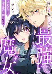 『私ときどき最強魔女~平凡女子は身分違いの恋をする~』の表紙