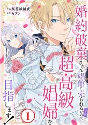 『婚約破棄されて娼館に売られる(予定)なので、超高級娼婦を目指します!』の表紙