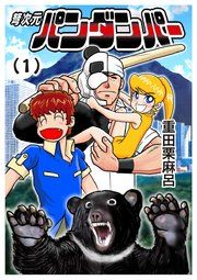 『弩次元パンダンパー』の表紙