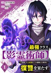 『最強クラス【影霊術師】に覚醒した元奴隷は、この腐敗した世界に復讐を果たす』の表紙