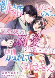 『離婚したいのに、旦那様の溺愛が凄すぎて別れてくれません【分冊版】』の表紙