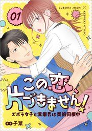『この恋、片づきません!~ズボラ女子と潔癖男は契約同棲中~』の表紙