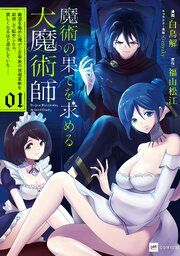 『魔術の果てを求める大魔術師』の表紙