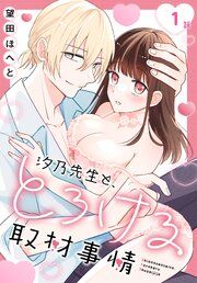 『汐乃先生と、とろける取材事情［ばら売り］』の表紙