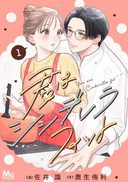 『君はシンデレラフィット 単行本版』の表紙