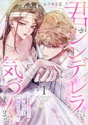 『君がシンデレラだと気づくまで~恋を知らない御曹司と秘密の契約婚~』の表紙