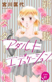『Love Silky アダルトエデュケーション』の表紙