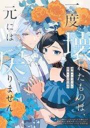 『一度壊れたものは、元には戻りませんよ。』の表紙