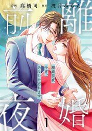 『comic Berry’s離婚前夜〜今宵、あなたを忘れます〜』の表紙