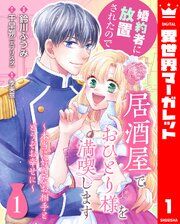 『婚約者に放置されたので居酒屋でおひとり様を満喫します~本当に好きなお相手とどうぞお幸せに~』の表紙