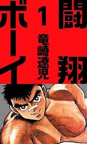 『闘翔ボーイ』の表紙