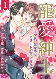 『寵愛紳士~今夜、献身的なエリート上司に迫られる~』の表紙