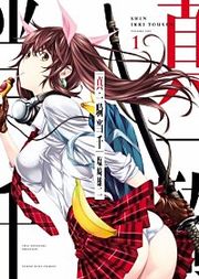 『真・一騎当千』の表紙