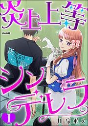 『炎上上等シンデレラ(分冊版)』の表紙
