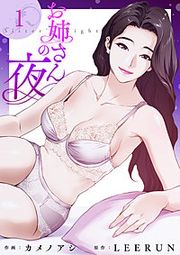 『お姉さんの夜』の表紙