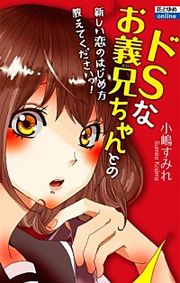 『ドSなお義兄ちゃんとの新しい恋のはじめ方教えてくださいっ！』の表紙