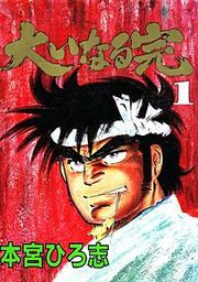 『大いなる完』の表紙