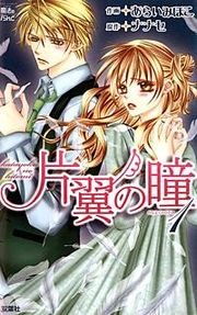『片翼の瞳』の表紙