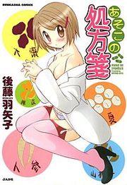 『あそこの処方箋』の表紙