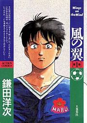 『風の翼』の表紙