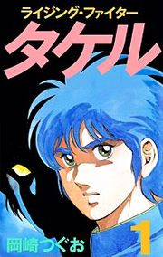 『ライジング・ファイタータケル』の表紙