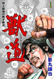 『獣道~地上最強の無手勝流~』の表紙