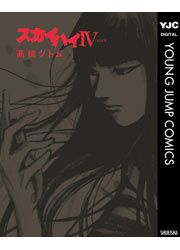 『スカイハイIV<FOUR>』の表紙