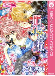 『眠れぬ蝶』の表紙