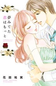 『夢みてた恋はもっと』の表紙