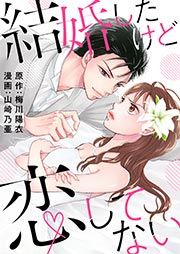 『結婚したけど恋してない』の表紙