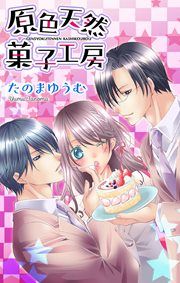 『原色天然菓子工房』の表紙