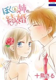 『ぼくと姉の結婚』の表紙