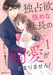 『独占欲強めな社長の溺愛がとまりません!』の表紙
