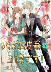 『婚約破棄が目標です!』の表紙