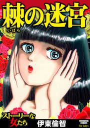 『棘の迷宮』の表紙