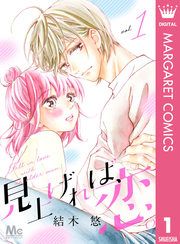 『見上げれば、恋。』の表紙