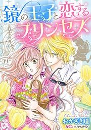 『鏡の王子と恋するプリンセス』の表紙