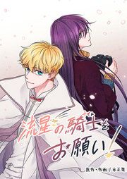 『流星の騎士(ナイト)をお願い!』の表紙