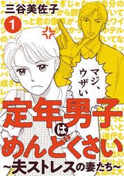 『定年男子はめんどくさい ~夫ストレスの妻たち~』の表紙