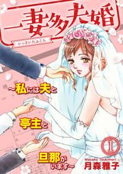『一妻多夫婚 ~私には夫と亭主と旦那がいます~』の表紙
