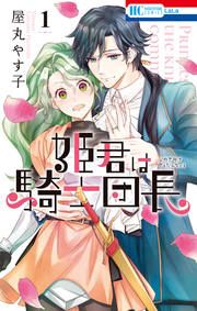 『姫君は騎士団長』の表紙