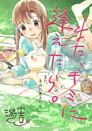 『また、キミに逢えたら。』の表紙