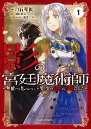 『影の宮廷魔術師』の表紙
