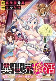 『異世界婚活~魔王を倒したアラサー女戦士が婚活をはじめました~』の表紙